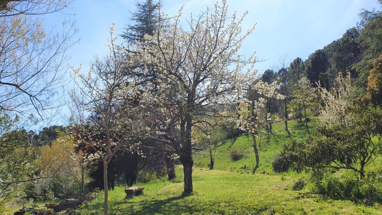 아레나스 데 산 페드로 Casa El Prao 빌라 외부 사진