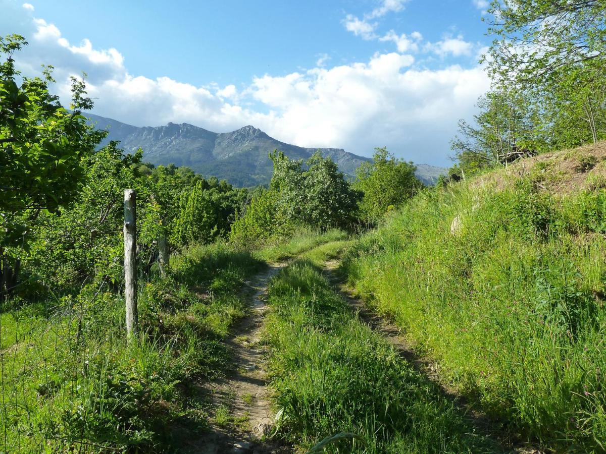 아레나스 데 산 페드로 Casa El Prao 빌라 외부 사진